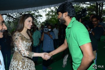 Bengal Tiger Movie Opening